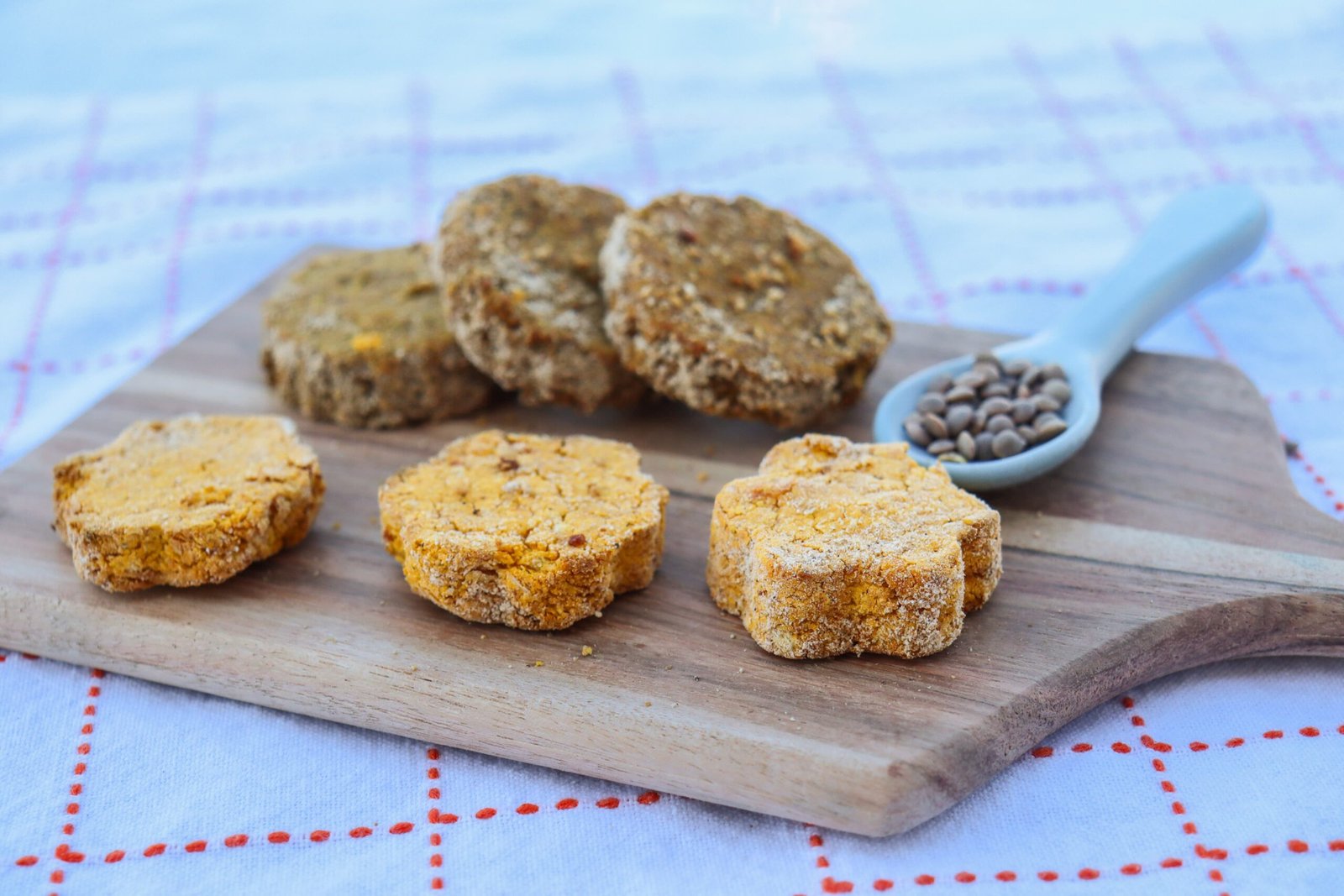 Medallones de lenteja y zanahoria / de garbanzo y calabaza